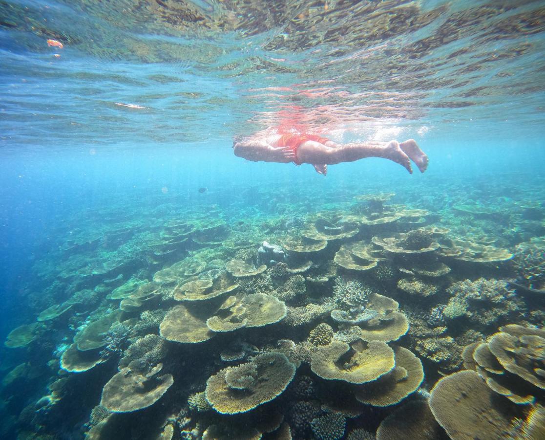 Ostrov Villa Ukulhas Island ภายนอก รูปภาพ