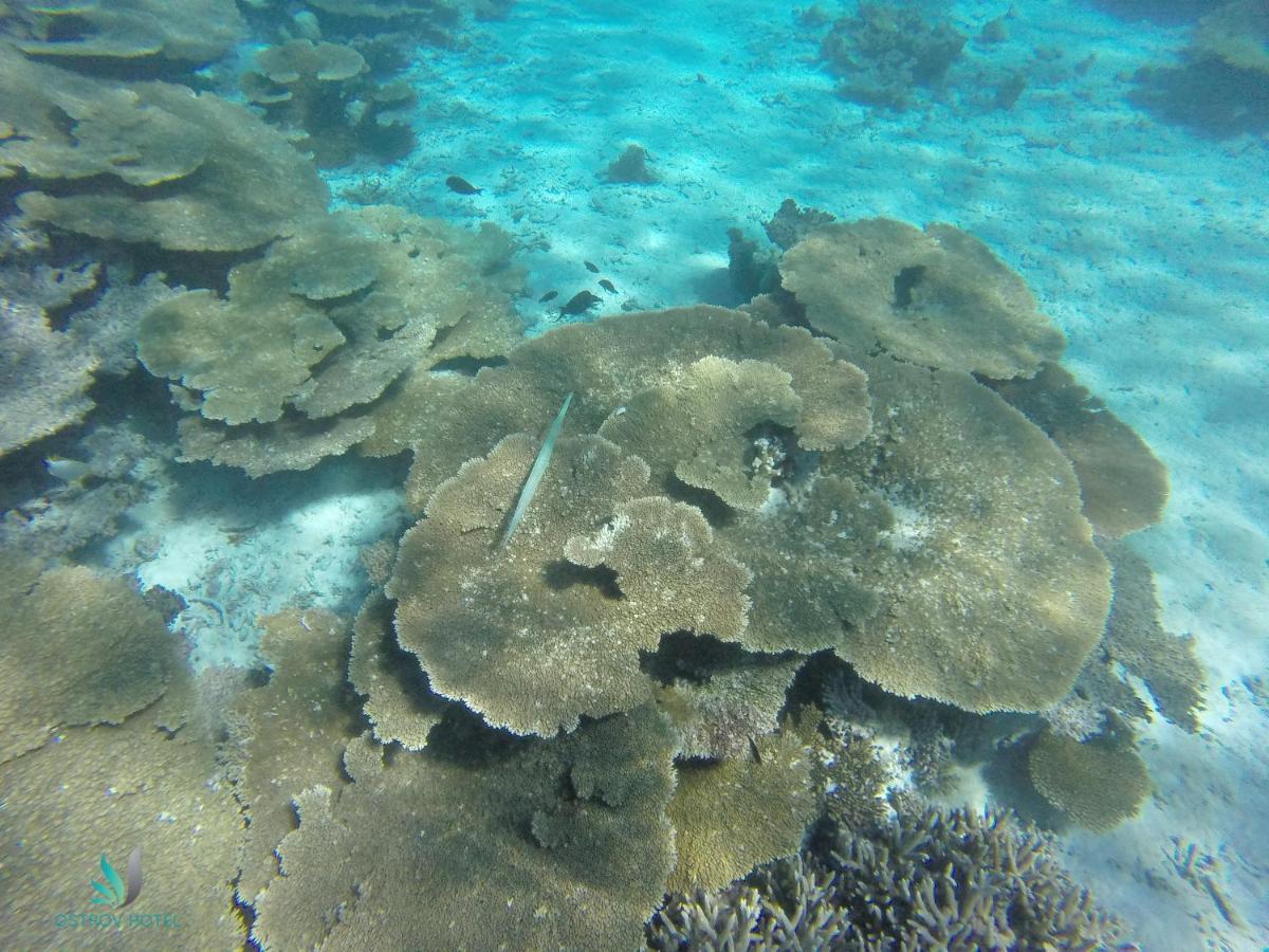 Ostrov Villa Ukulhas Island ภายนอก รูปภาพ